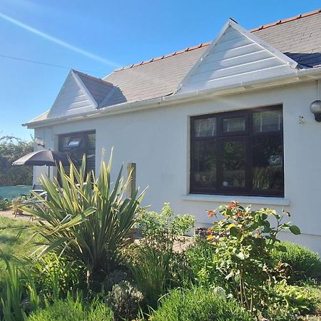 Y Cuddfan Gower Bed & Breakfast Swansea Bagian luar foto
