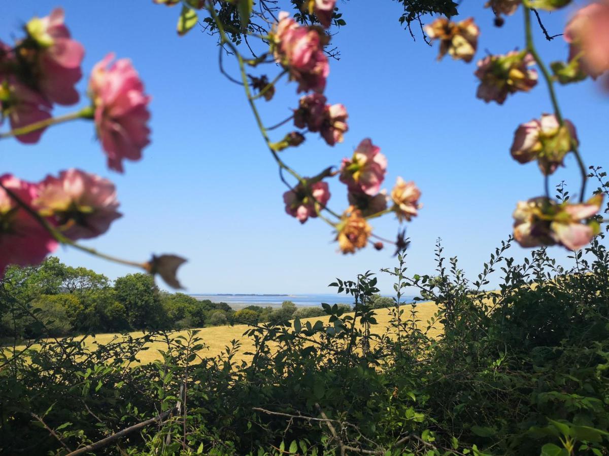 Y Cuddfan Gower Bed & Breakfast Swansea Bagian luar foto